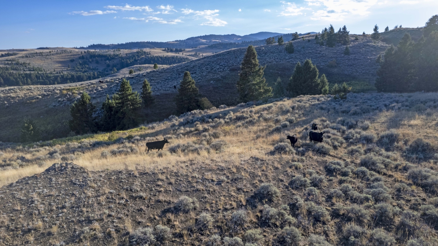 The Reserve at Willow Creek Ranch 2 Livingston Montana Fay Ranches