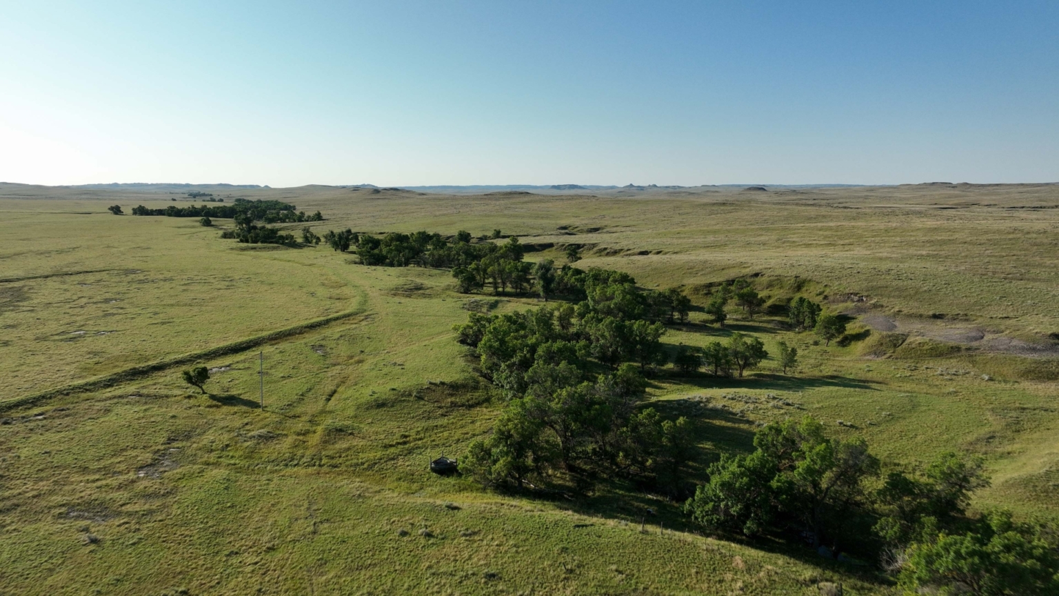 Ringling Ranch II | Ekalaka Montana | Fay Ranches