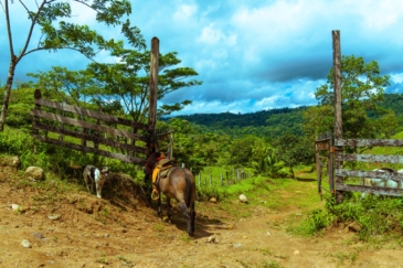 farms for sale costa rica Hacienda Los Gauchos