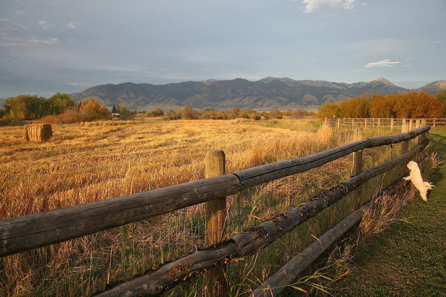 fencing-considerations-for-your-new-ranch-featured