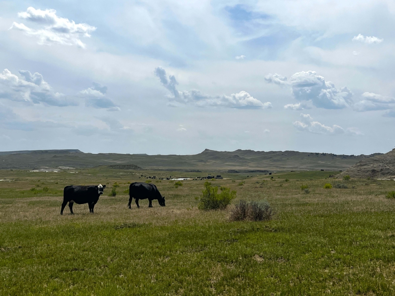 Gray Ranch on Little Porcupine Creek Forsyth Montana Fay Ranches