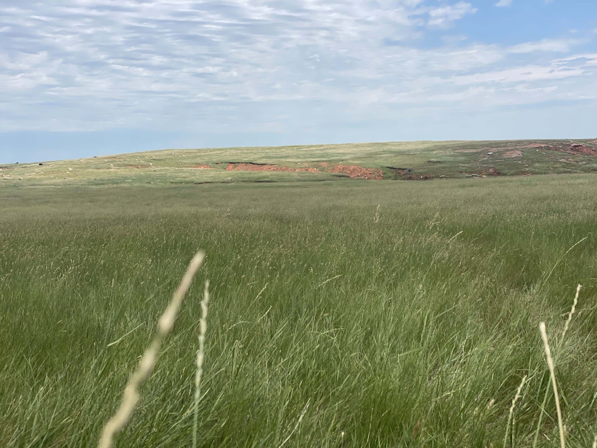 green wyoming Red Draw Ranch
