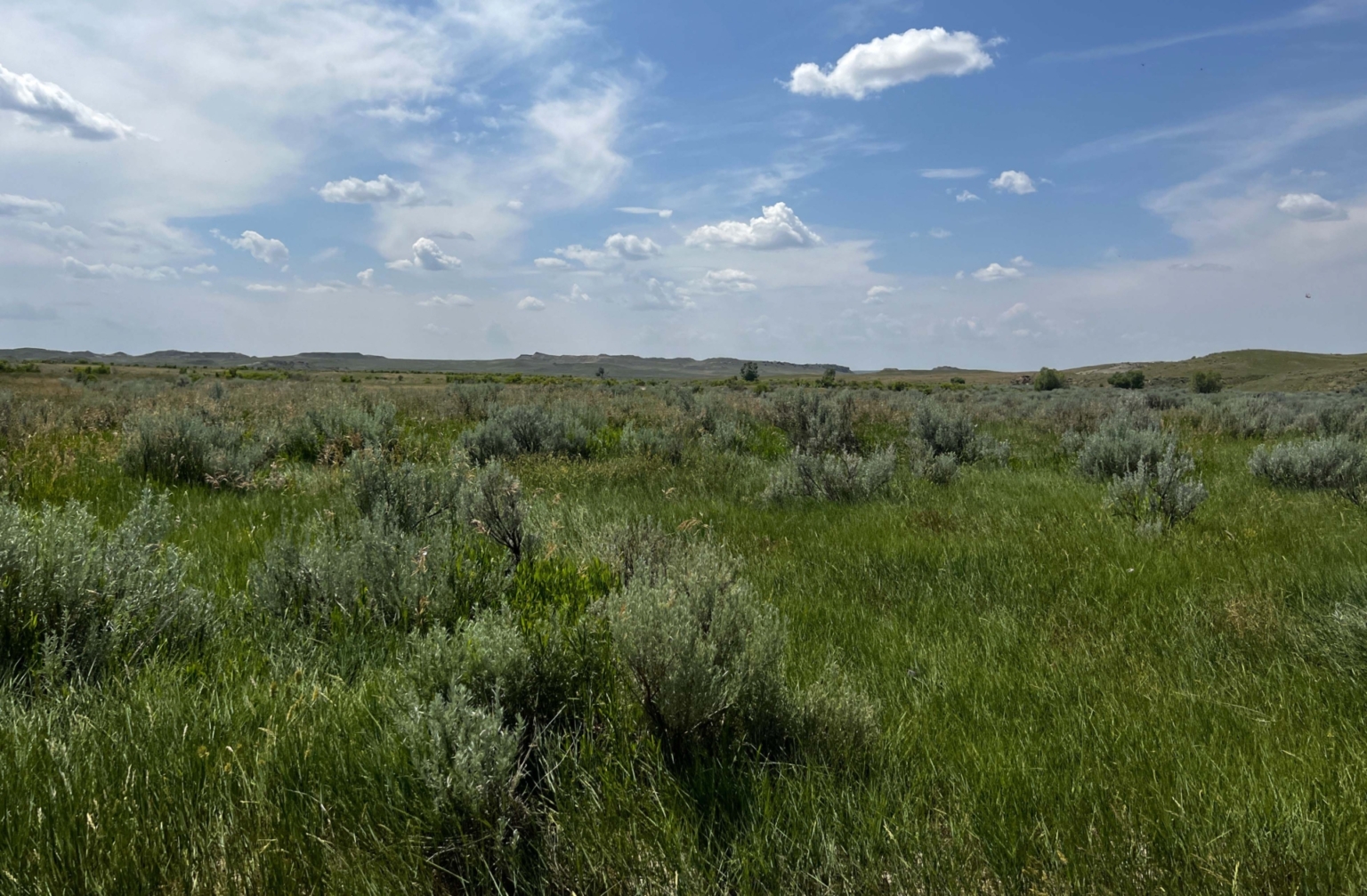 Gray Ranch on Little Porcupine Creek | Forsyth Montana | Fay Ranches