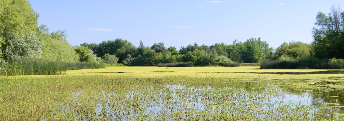 River Springs Ranch Parma Idaho Fay Ranches