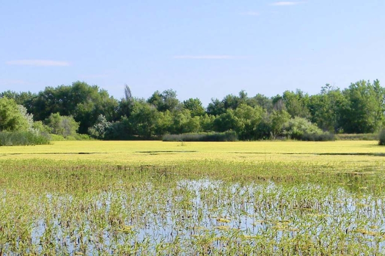 Idaho Ranch Land Properties For Sale Fay Ranches