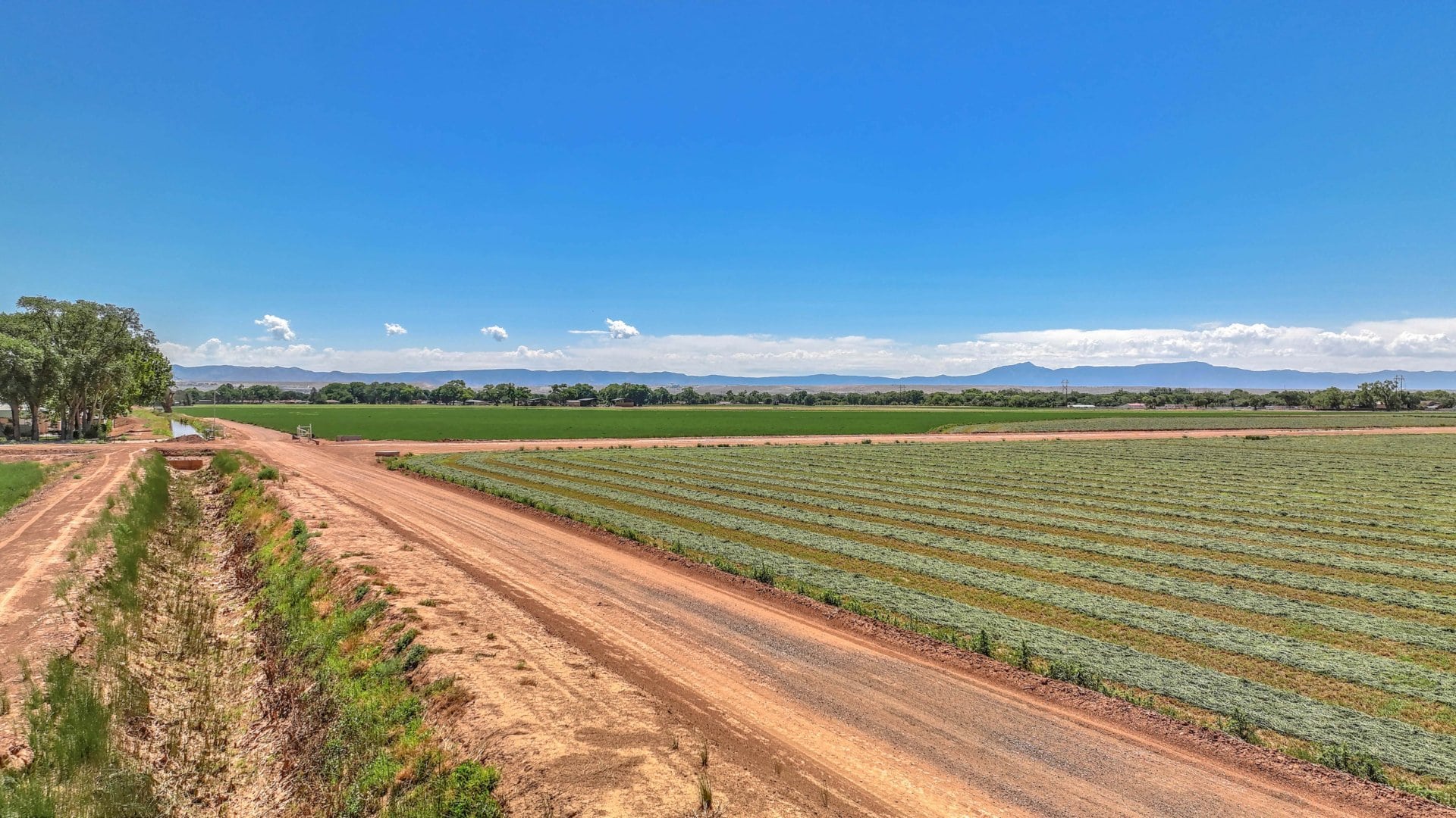 irrigation ditches new mexico old tobacco farm
