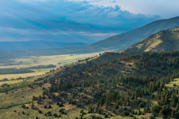 montana land for sale bridger foothills parcel 2