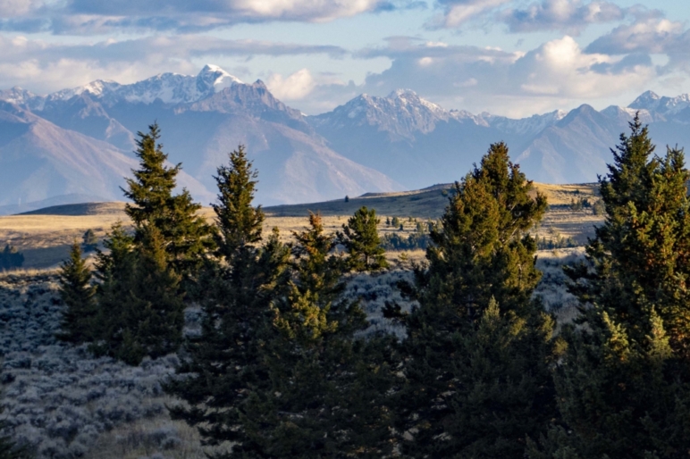 Trapper View Ranch Darby MT Property For Sale Fay Ranches