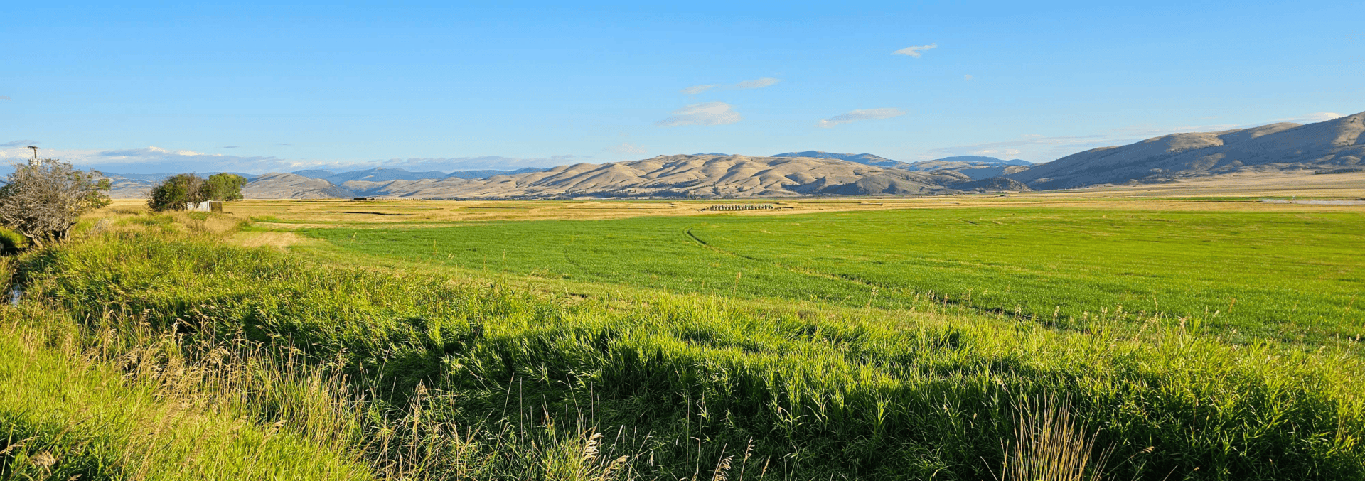 montana ranch for sale settle ranch