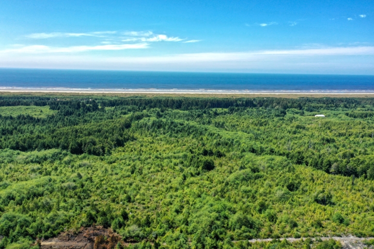 Coastal Mesa Retreat Copalis Beach Washington Fay Ranches