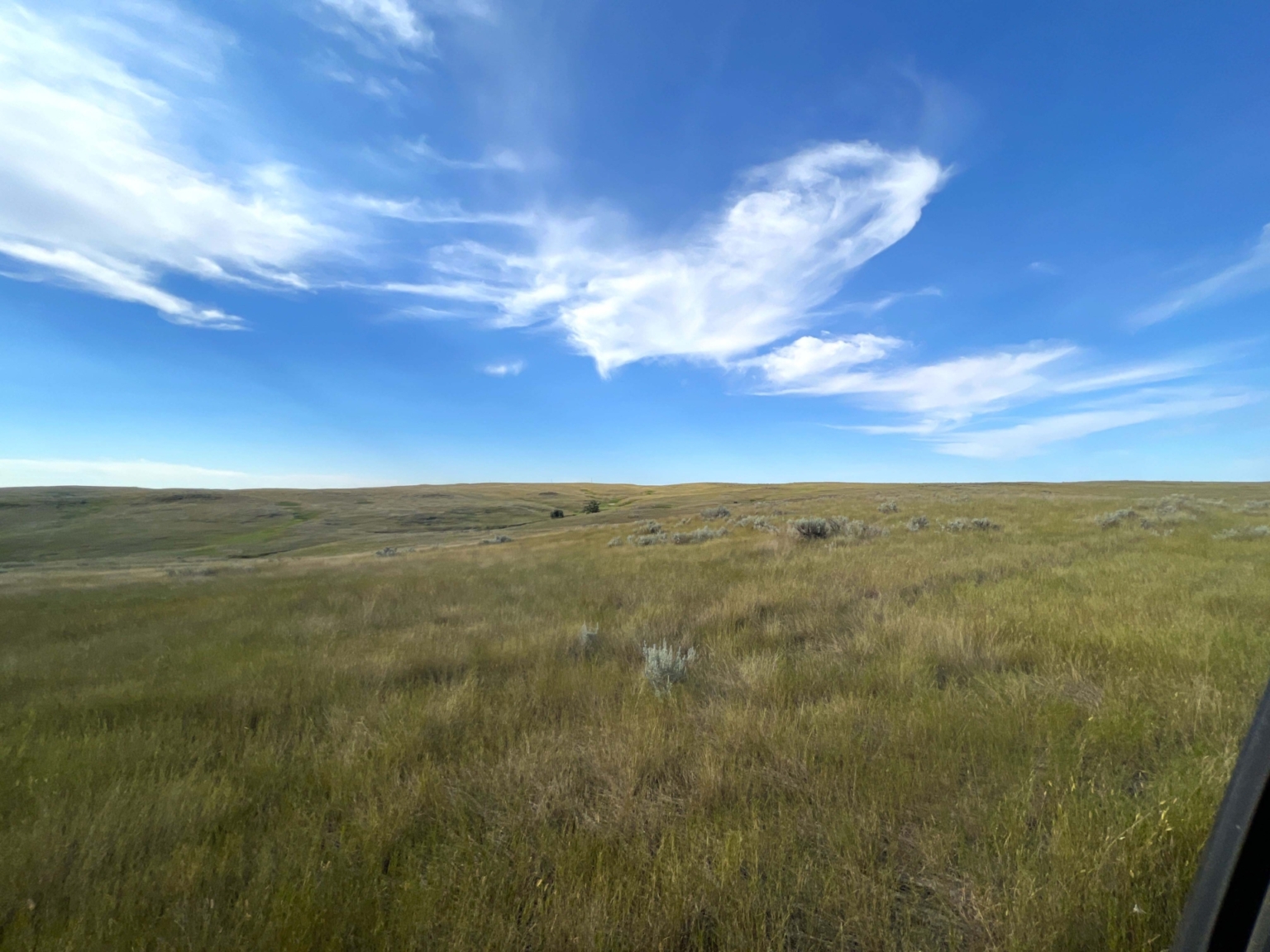 Ringling Ranch II Ekalaka Montana Fay Ranches