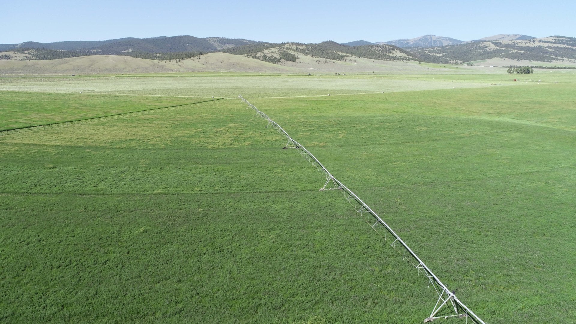 pivot line green montana settle ranch