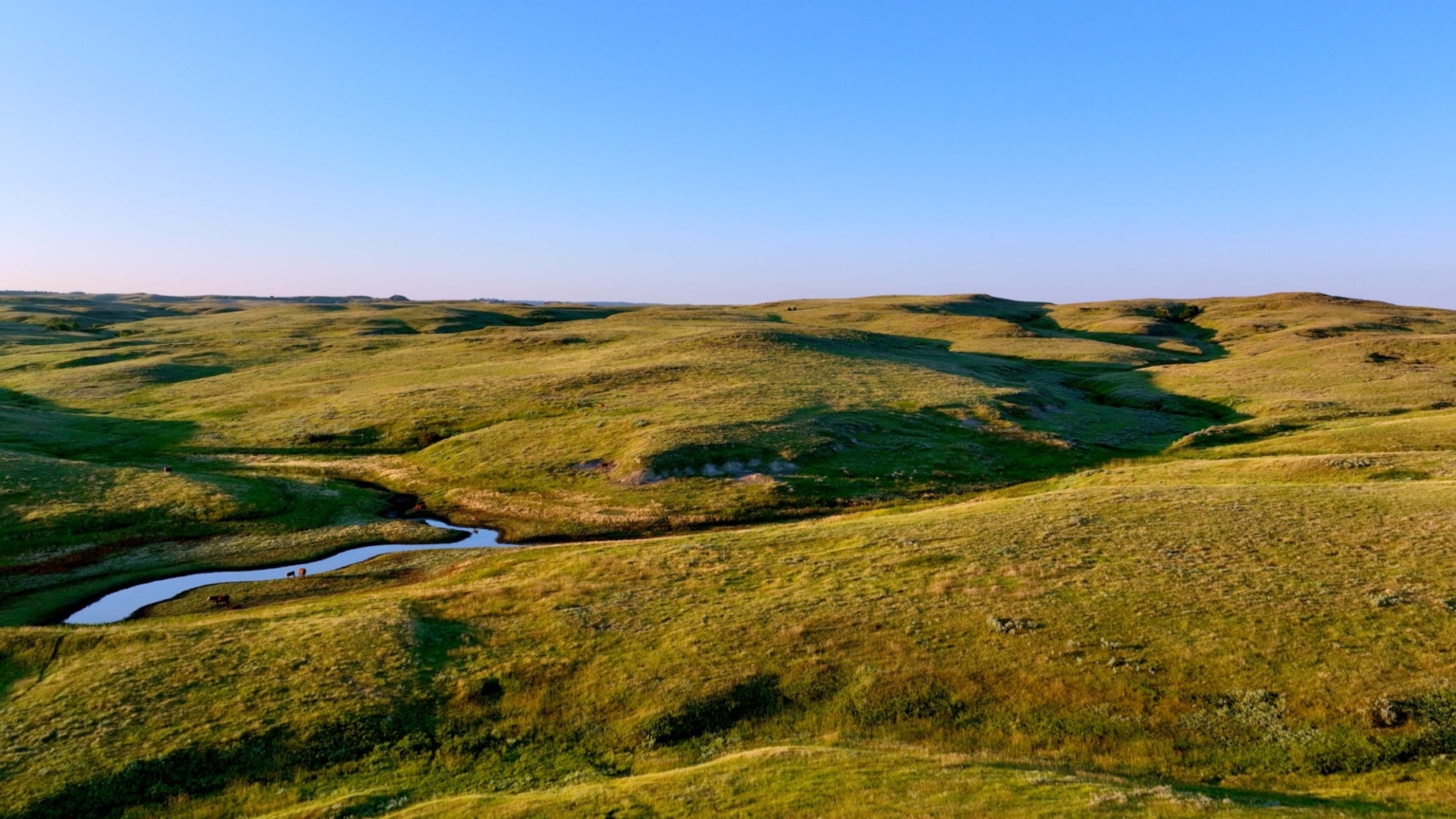Ringling Ranch II | Ekalaka Montana | Fay Ranches