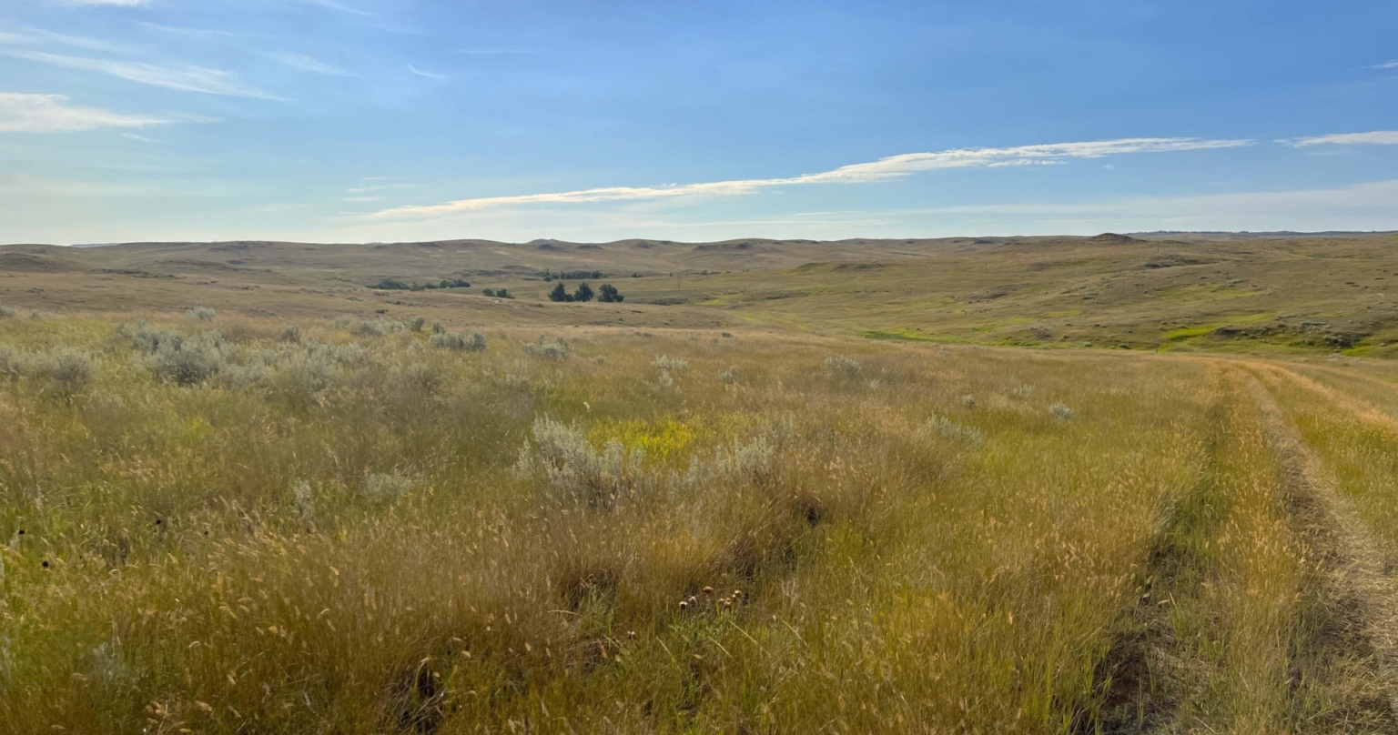 Ringling Ranch II | Ekalaka Montana | Fay Ranches