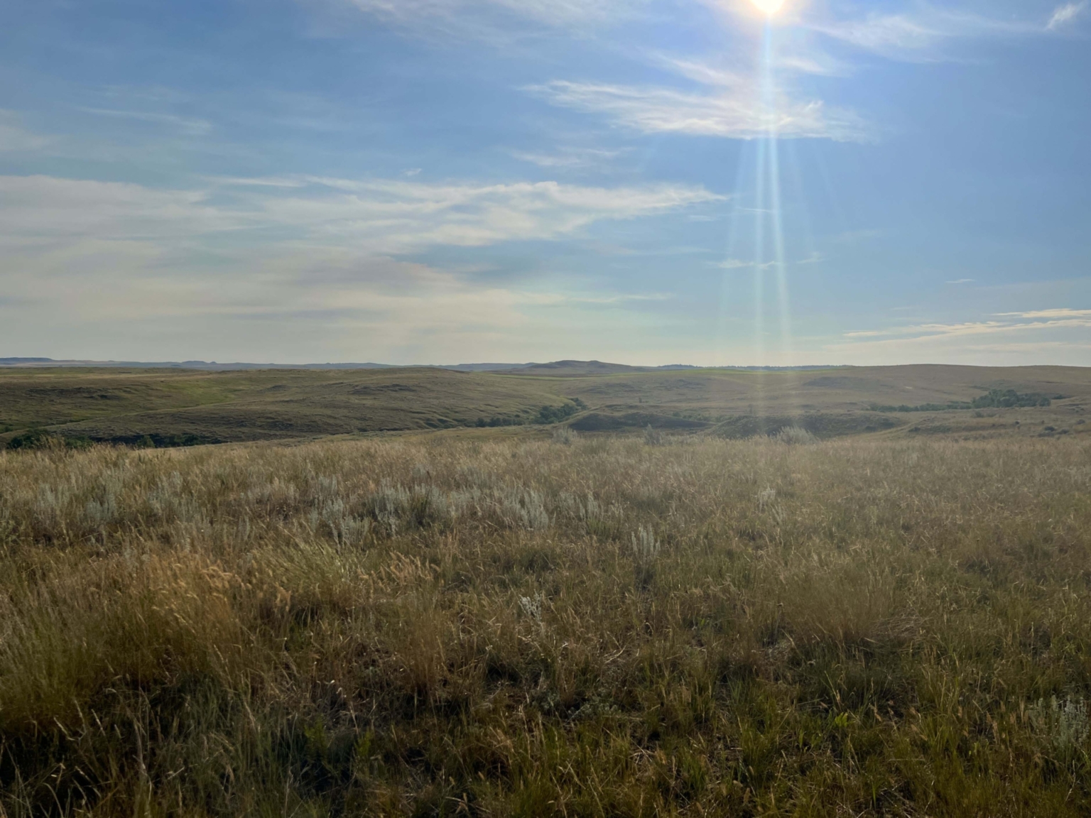 Ringling Ranch II Ekalaka Montana Fay Ranches