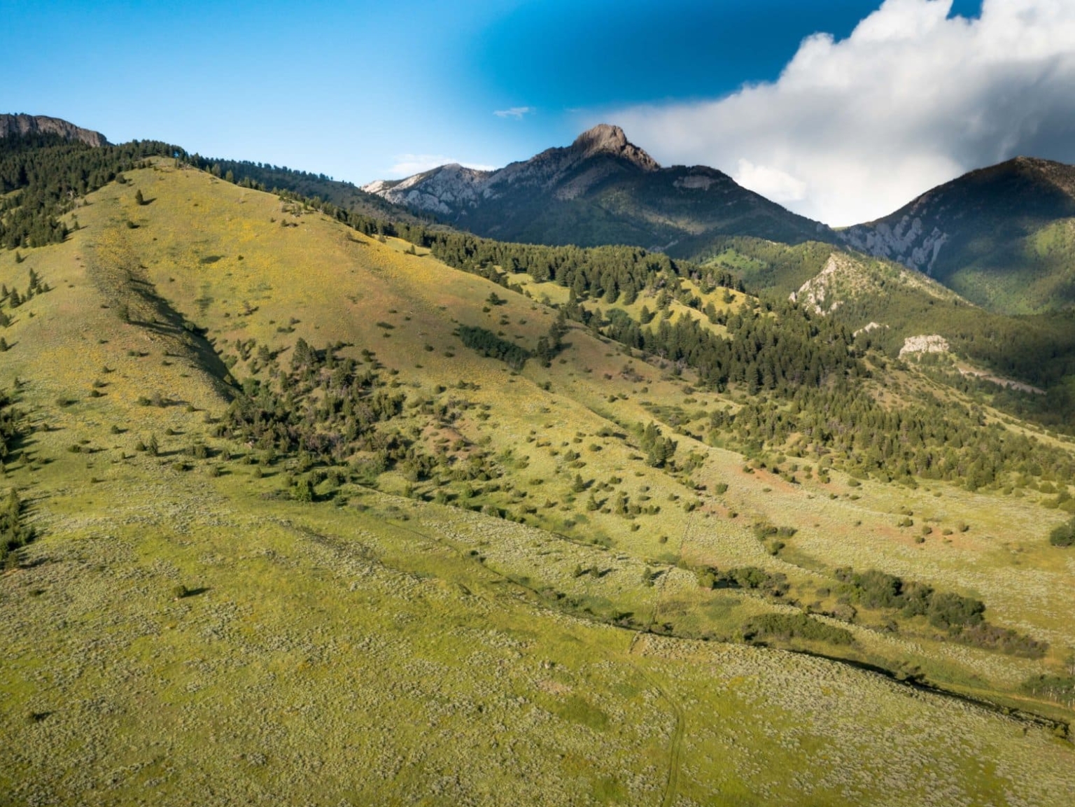 Bridger Foothills Parcel 1 Belgrade Montana Fay Ranches