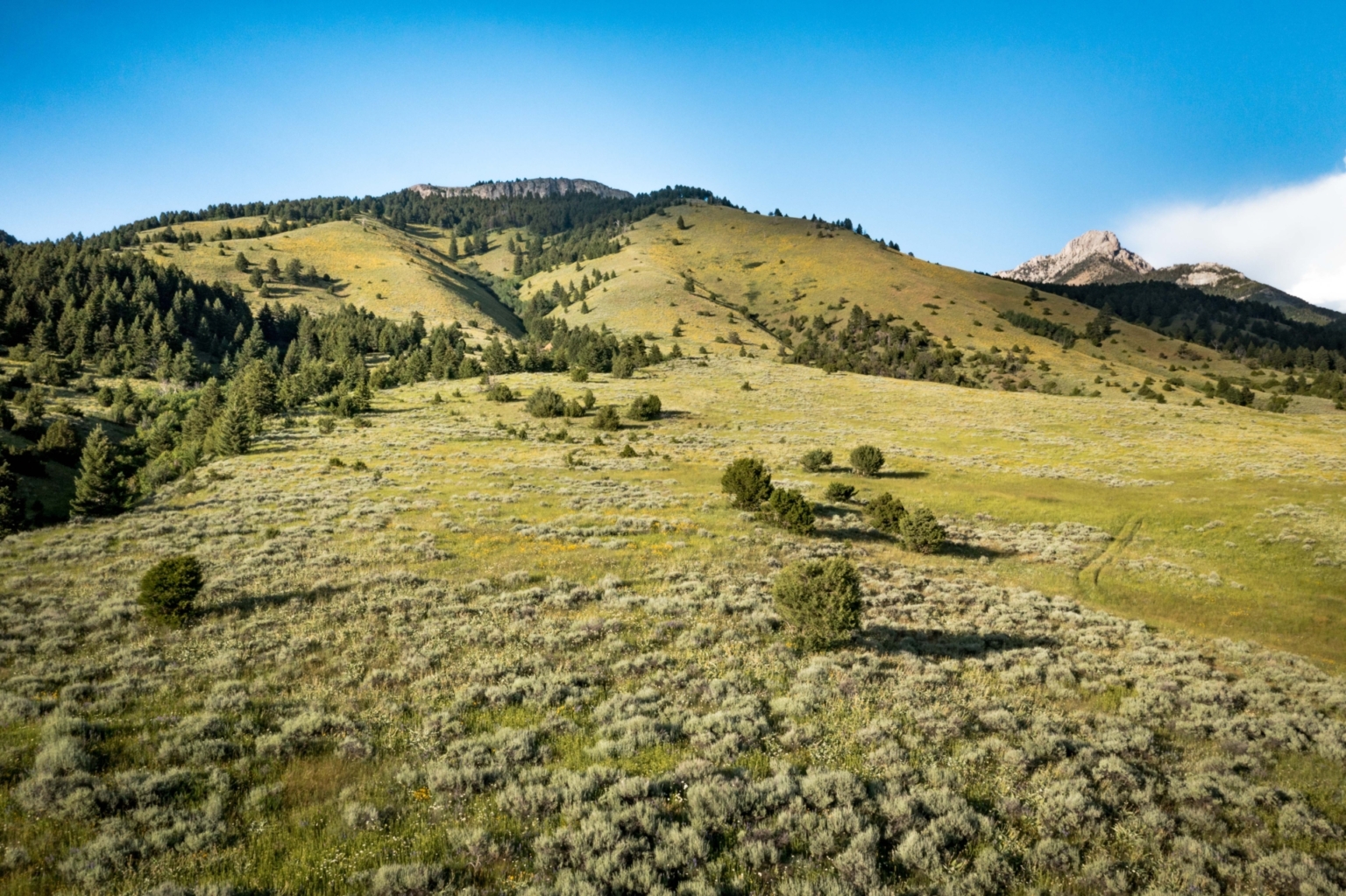 Bridger Foothills Parcel 1 Belgrade Montana Fay Ranches