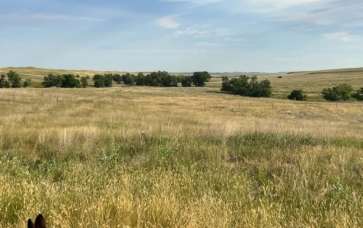Ringling Ranch II | Ekalaka Montana | Fay Ranches