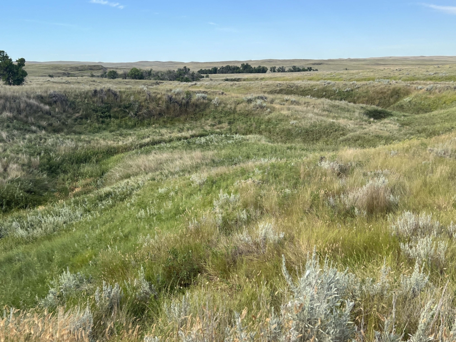 Ringling Ranch II Ekalaka Montana Fay Ranches