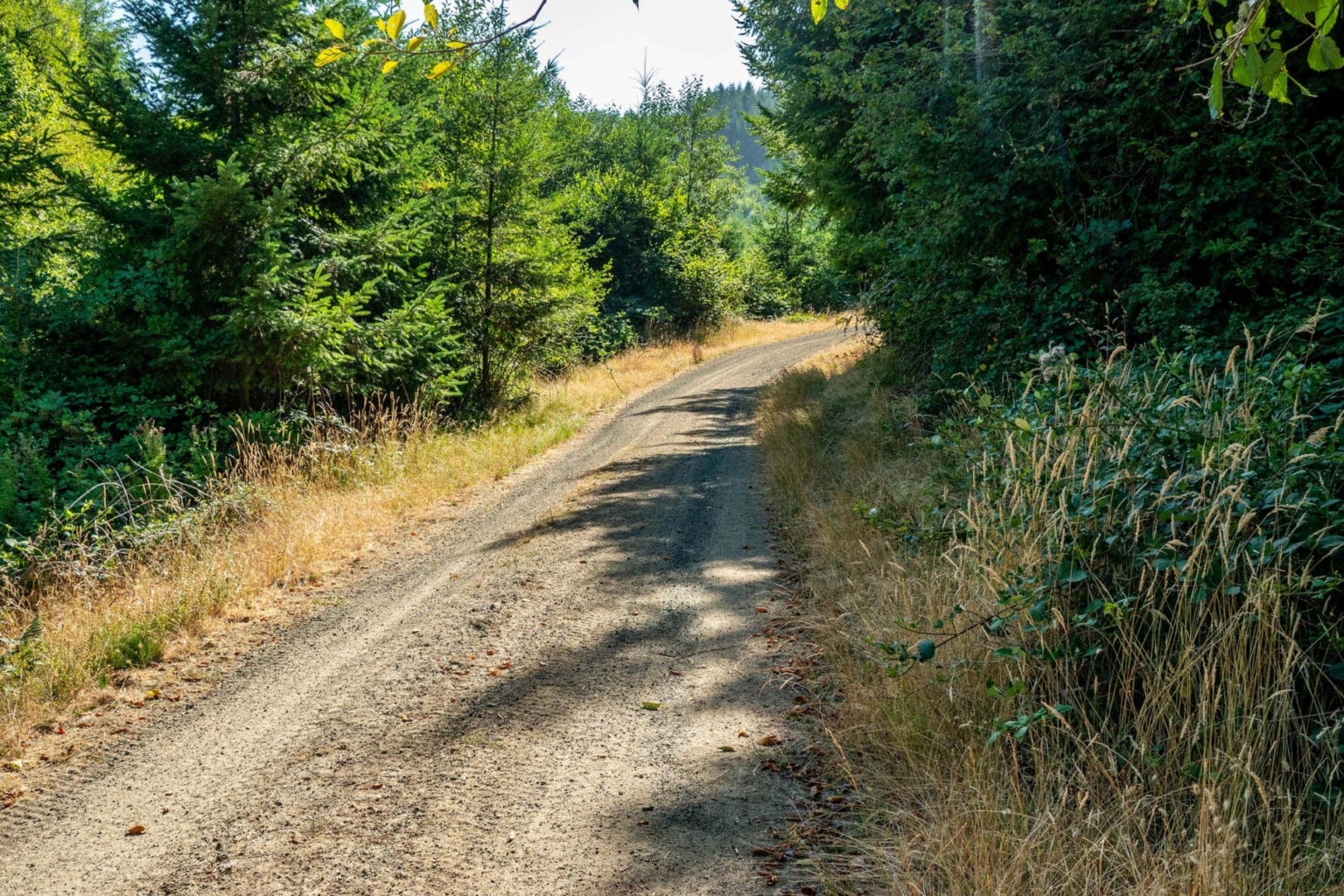 Upstream Timber and Cattle Ranch Myrtle Point Oregon Fay Ranches