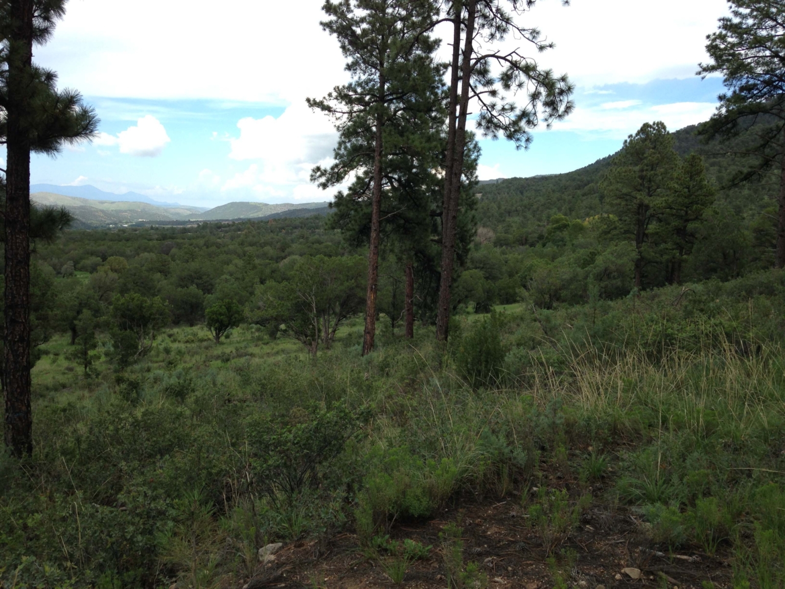 Mira Loma Ranch Ruidoso Downs New Mexico Fay Ranches