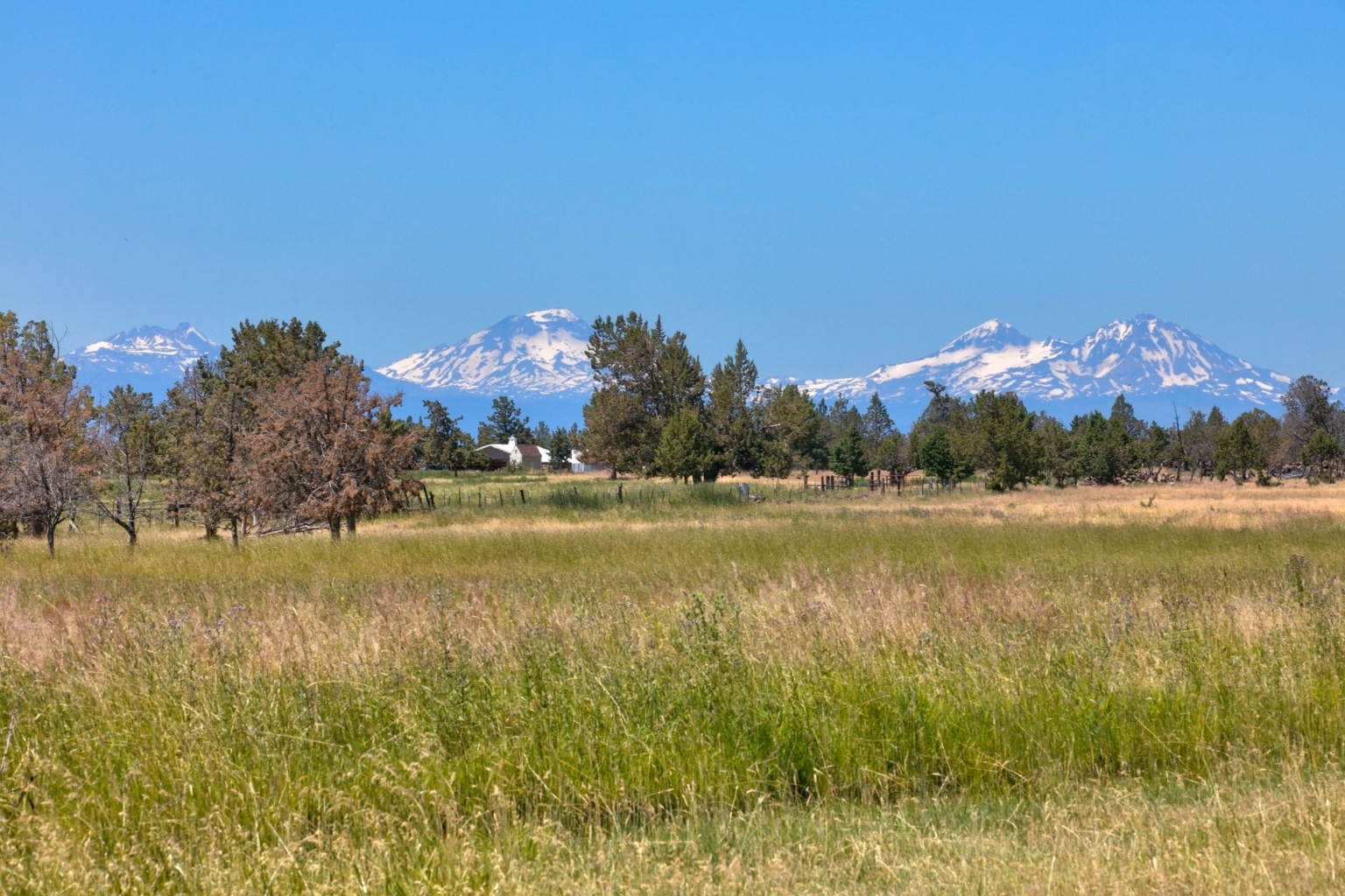 Houston Lake Ranch | Powell Butte Oregon | Fay Ranches