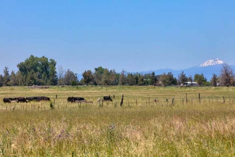 Houston Lake Ranch | Powell Butte Oregon | Fay Ranches