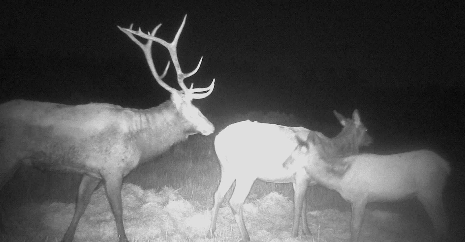 Monarch Ranch Dulce New Mexico Fay Ranches