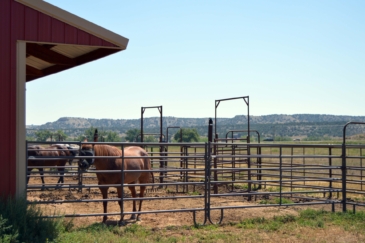 equestrian property for sale colorado zoes ranch