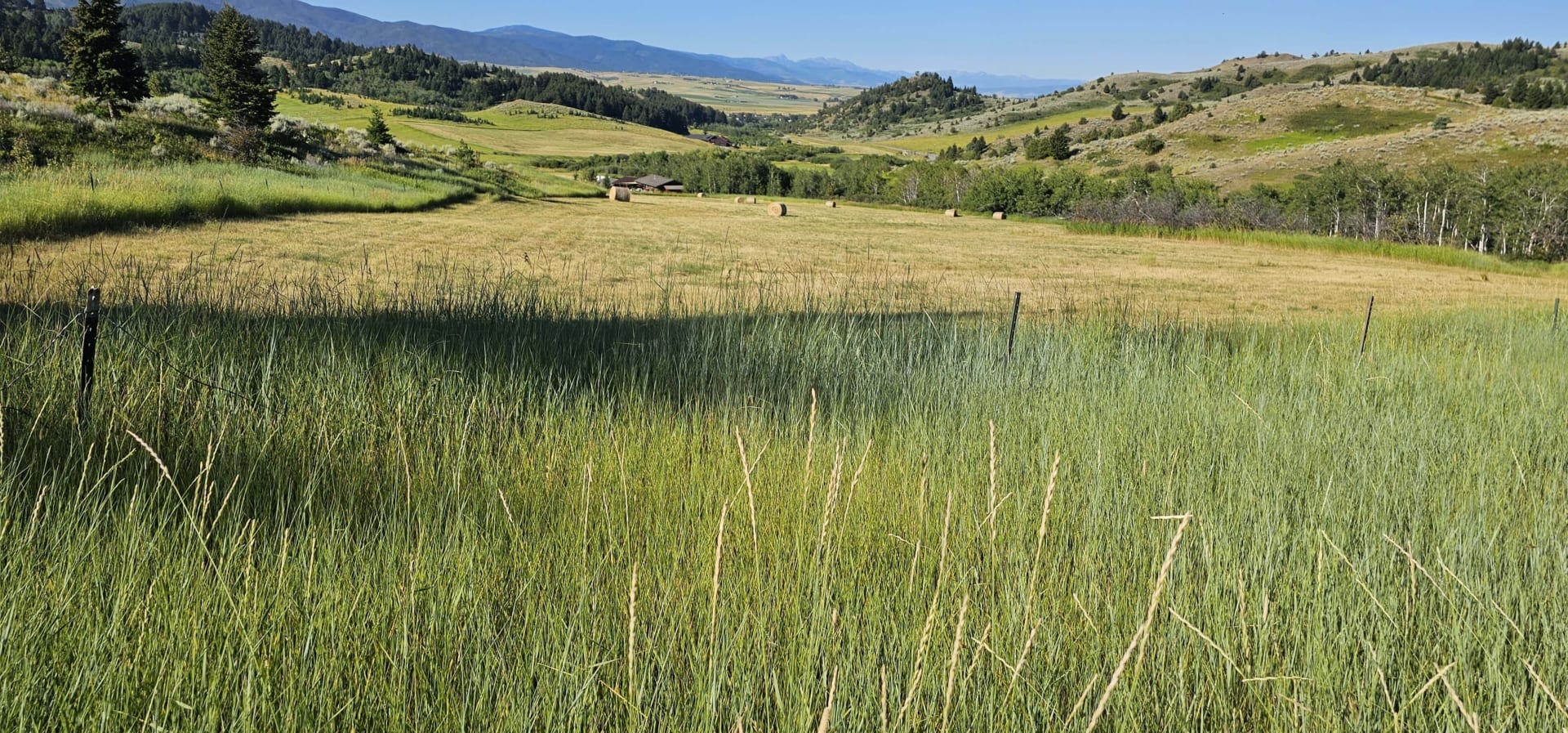 grass hay montana kelly canyon ranch