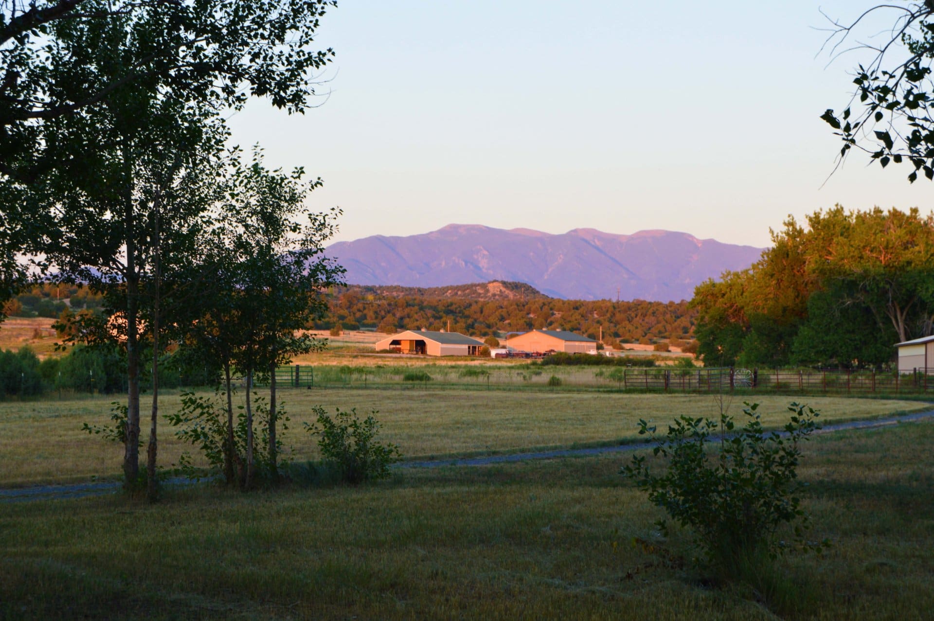 greenhorn view colorado zoes ranch