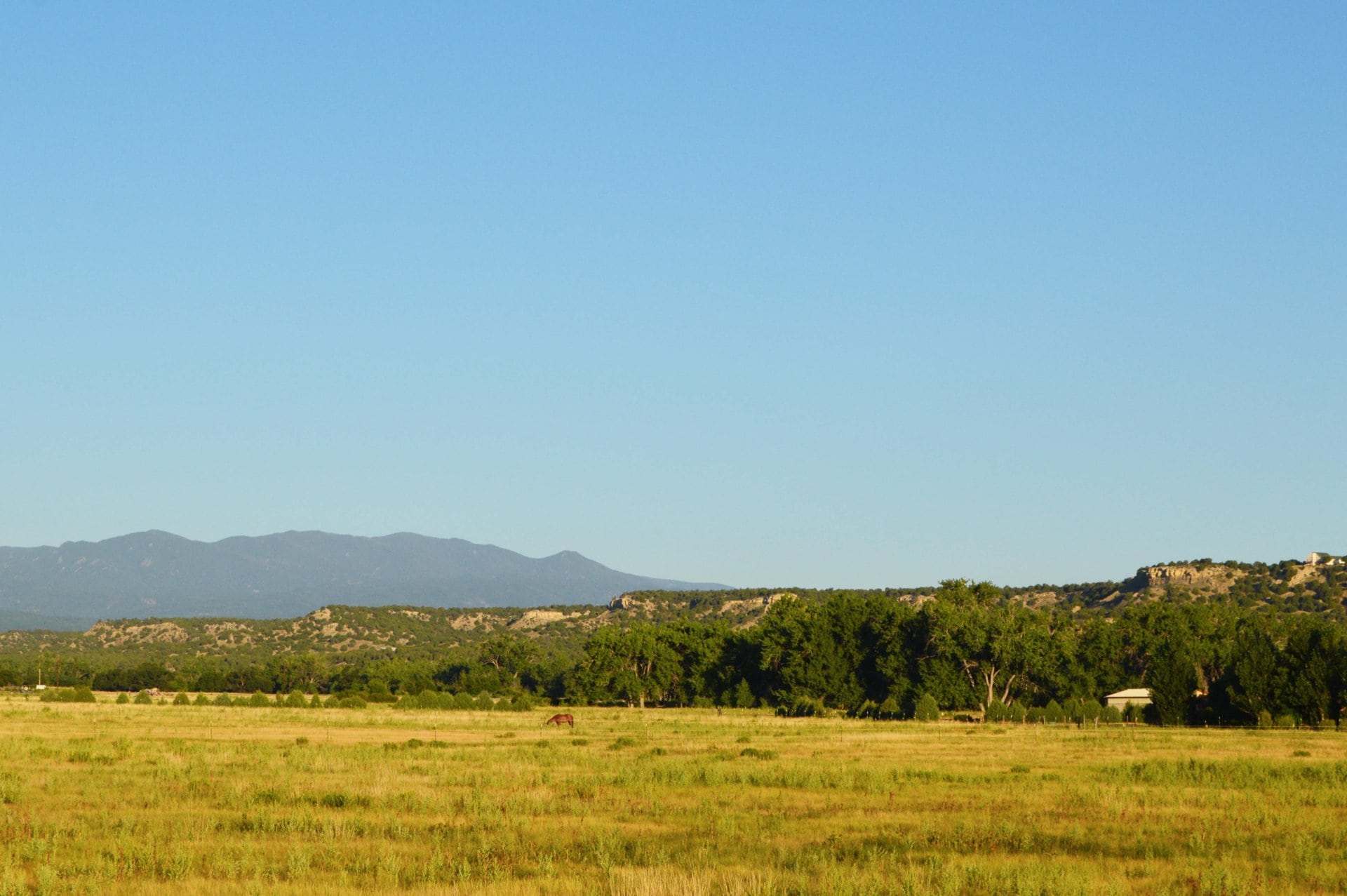 meadow ridge and mountain view from the eastern end colorado zoes ranch