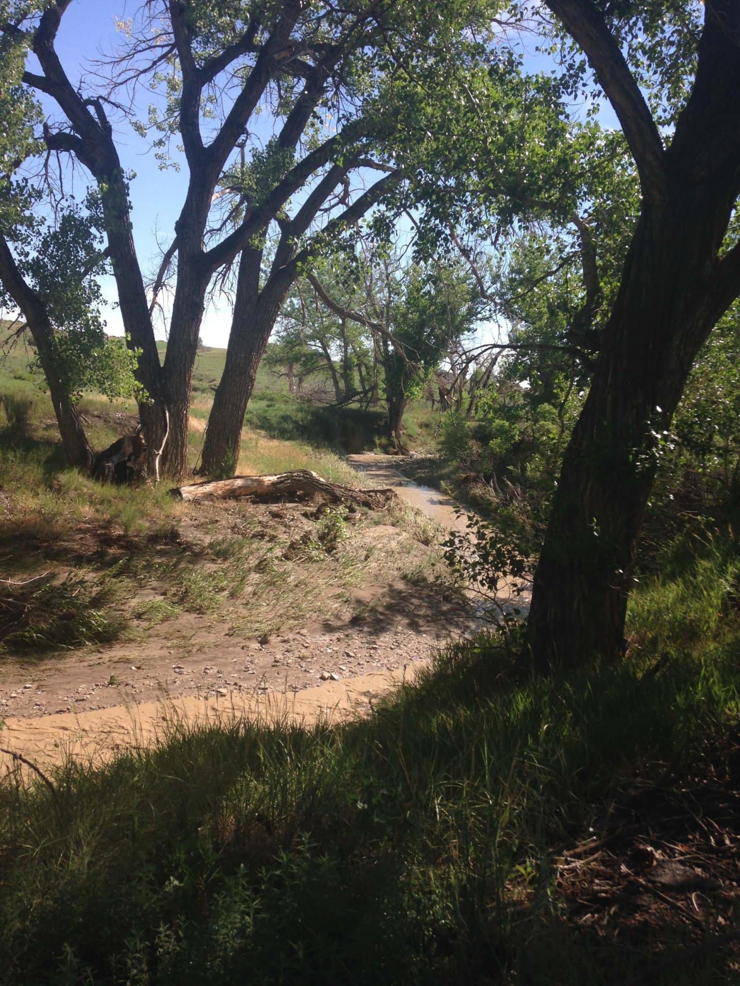 muddy creek colorado zoes ranch