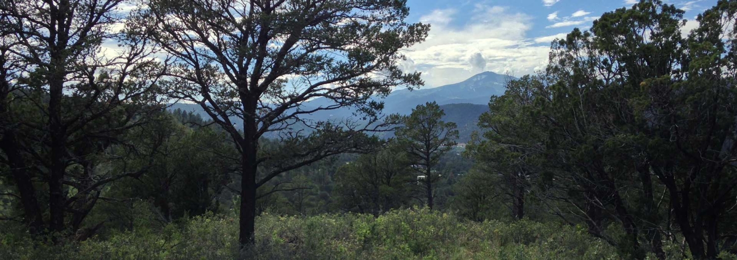 Mira Loma Ranch Ruidoso Downs New Mexico Fay Ranches