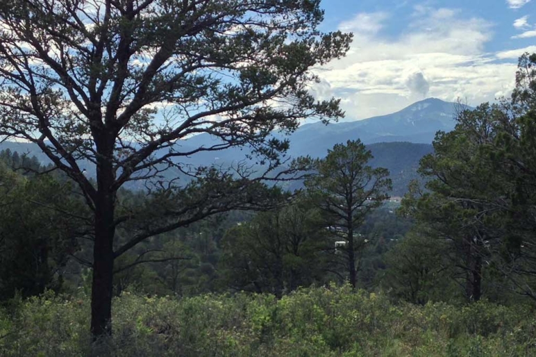 New Mexico Ranch Land Properties For Sale Fay Ranches