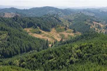 oregon timber property for sale Upstream Timber and Cattle Ranch