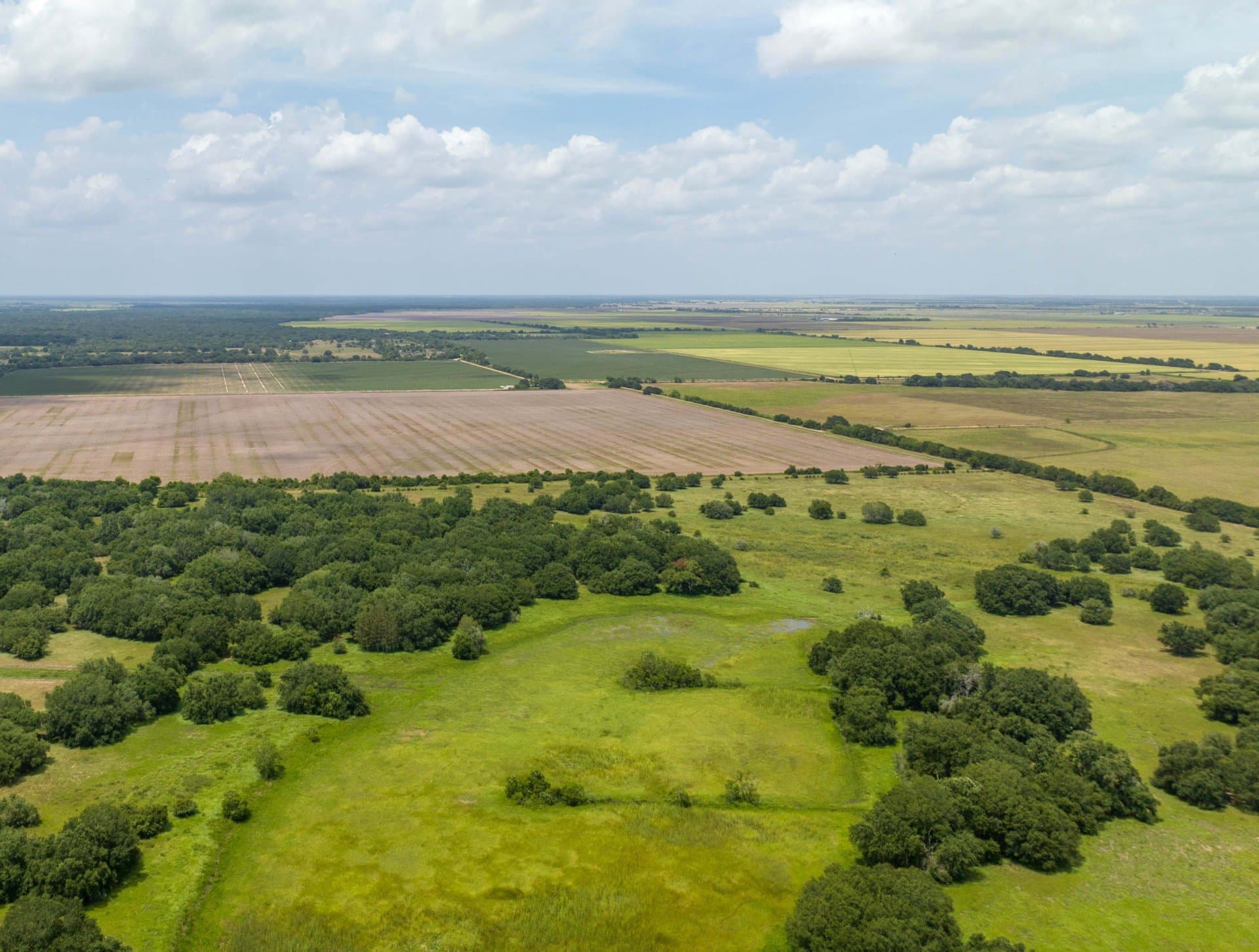 overview texas sandies farm