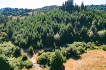 plantation for sale Oregon Upstream Timber and Cattle Ranch