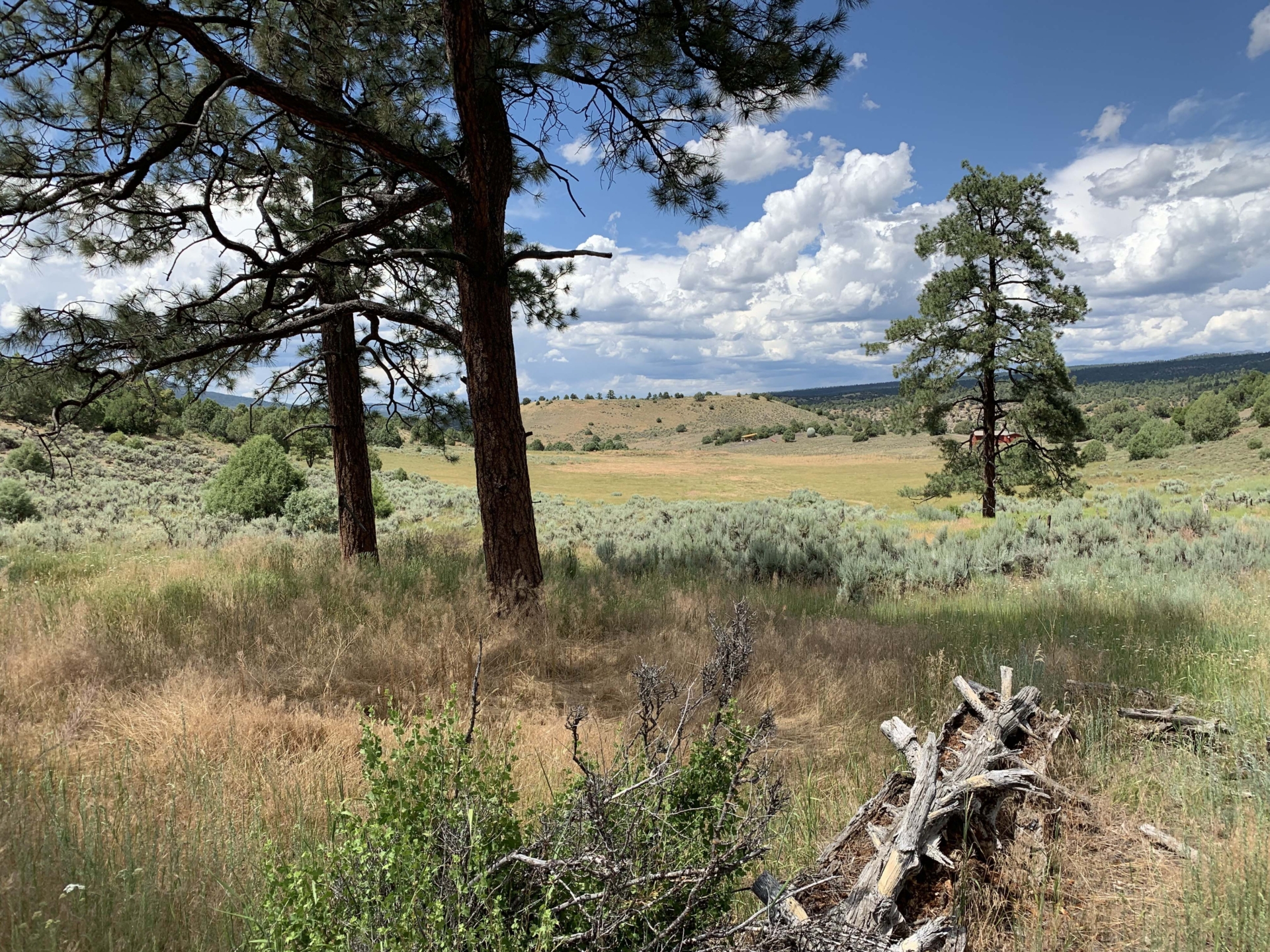 property for sale new mexico monarch ranch