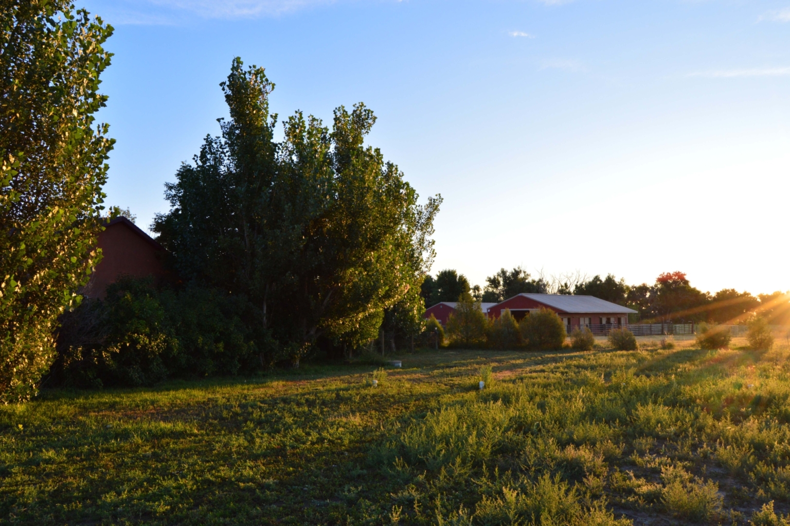 Weimer Ranches Nucla Co Zoe’s Ranch | Pueblo Colorado | Fay Ranches