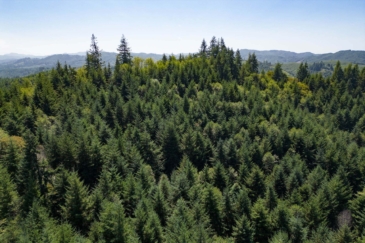 timber property for sale Oregon Upstream Timber and Cattle Ranch
