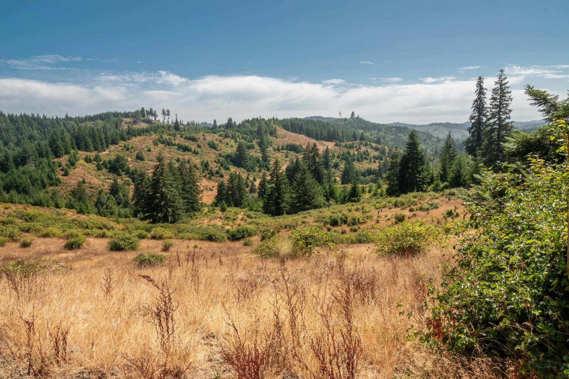 view of property Oregon Upstream Timber and Cattle Ranch