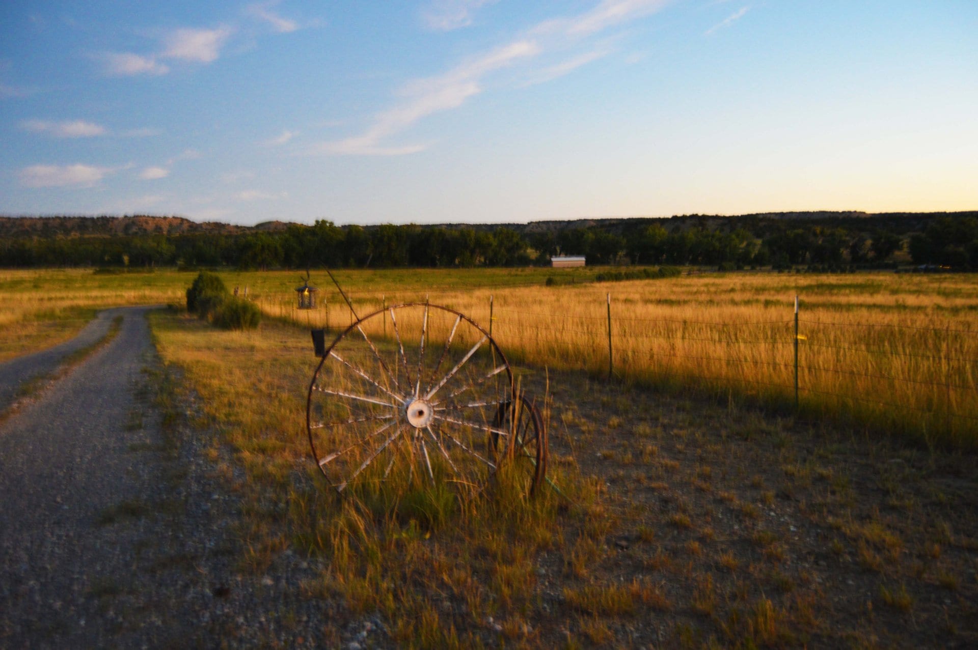 wagon wheel entrance colorado zoes ranch