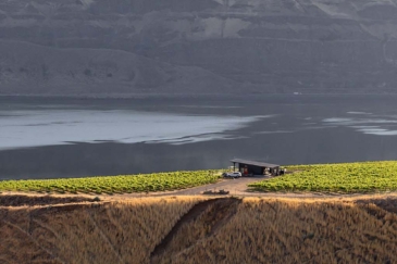 washington vineyard for sale goodnoe station vineyards