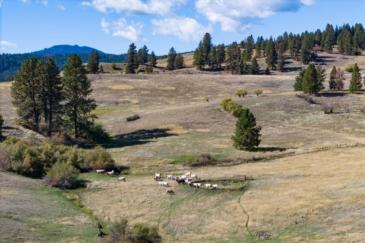 cattle ranches for sale washington hansen ridge ranch