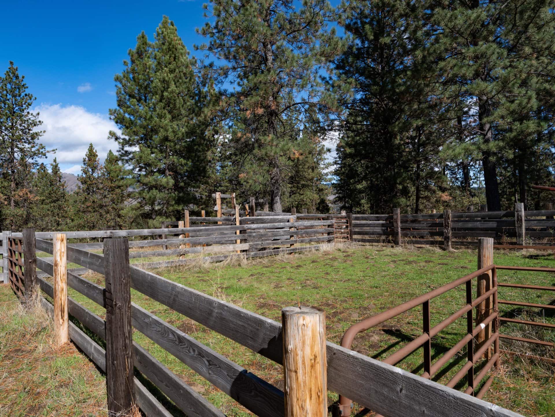 Corral Cattle Ranch Washington Hansen Ridge Ranch.jpg