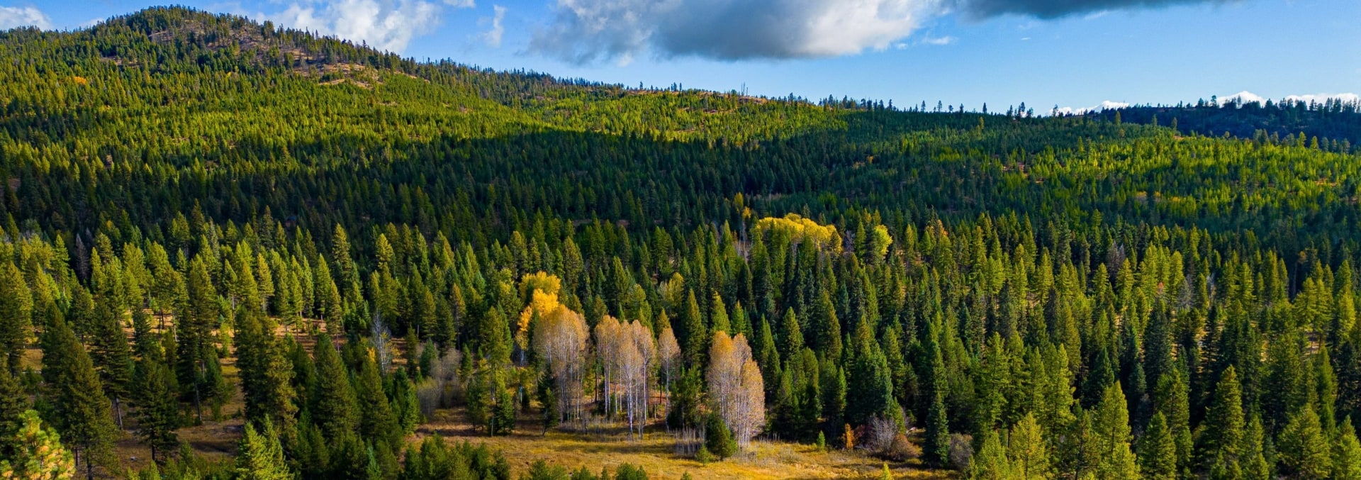 Washington timber land for sale Storm King Ranch