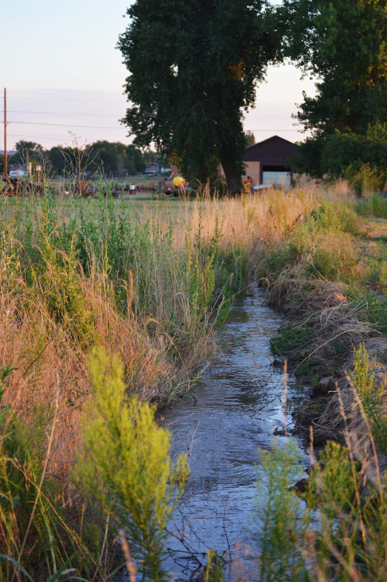 Water Return Ditch Colorado Williams Farm & Seed Company