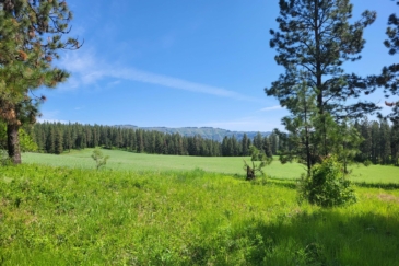agricultural production land for sale Washington Hansen Ridge Ranch