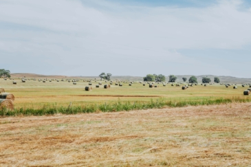 agricultural production property for sale nebraska the dillon ranch
